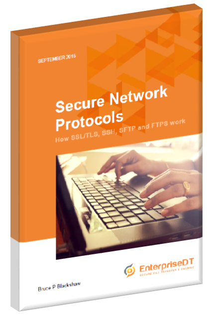 Secure Network Protocols